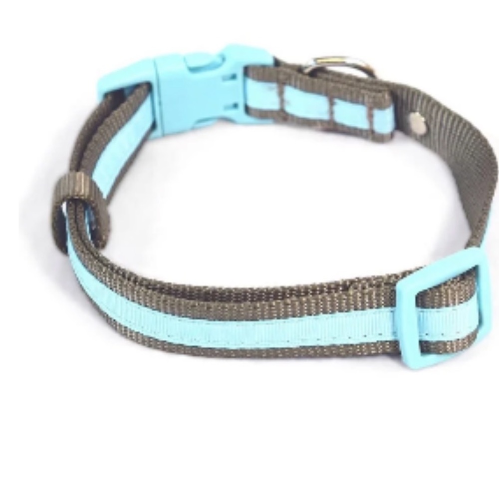 NWT Martha Stewart Nylon Dog Collar Size 20 For Neck 18-26" Mint Green/Gray - Picture 7 of 11